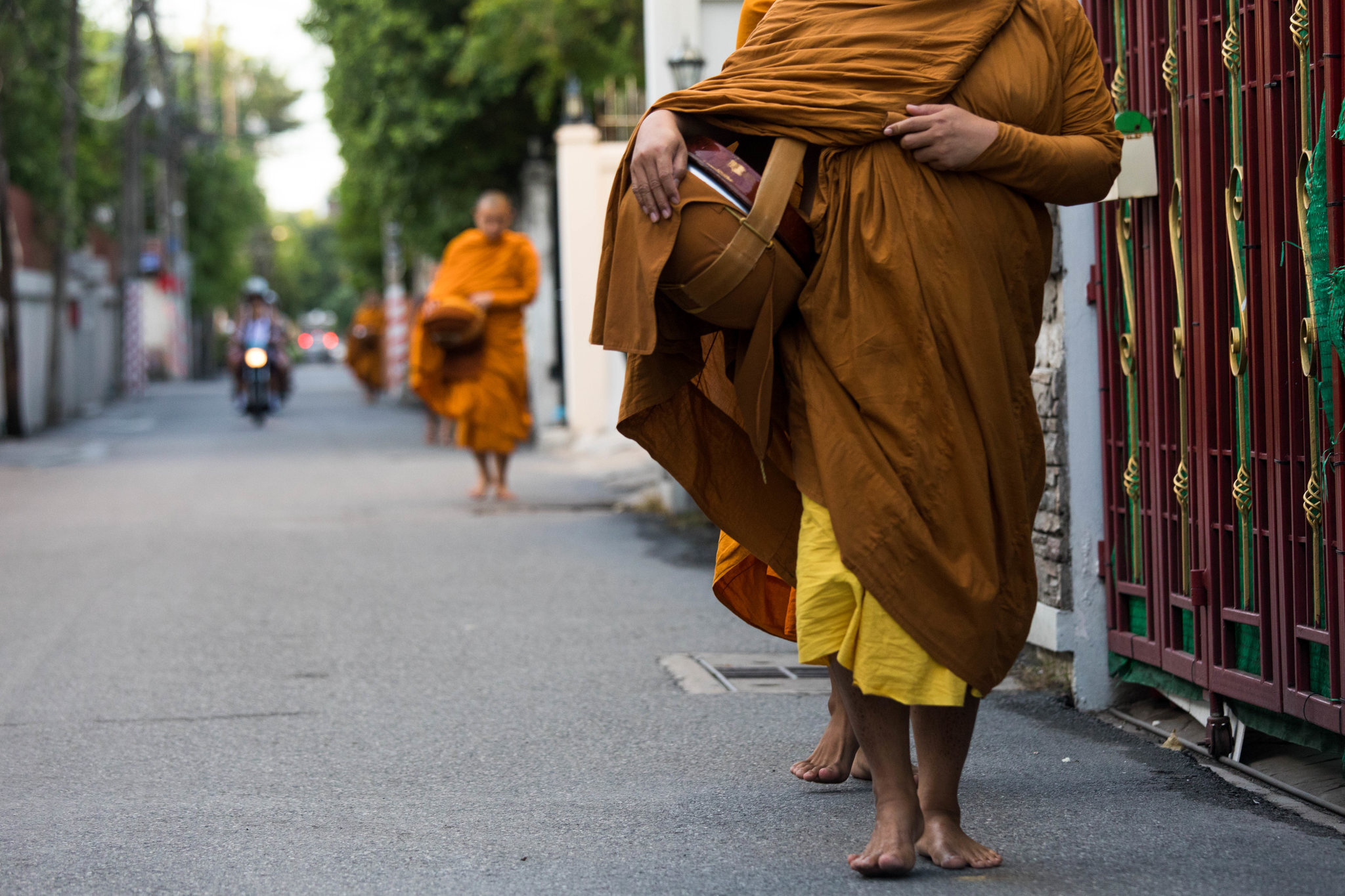 sienna charles morning walk with the monks 