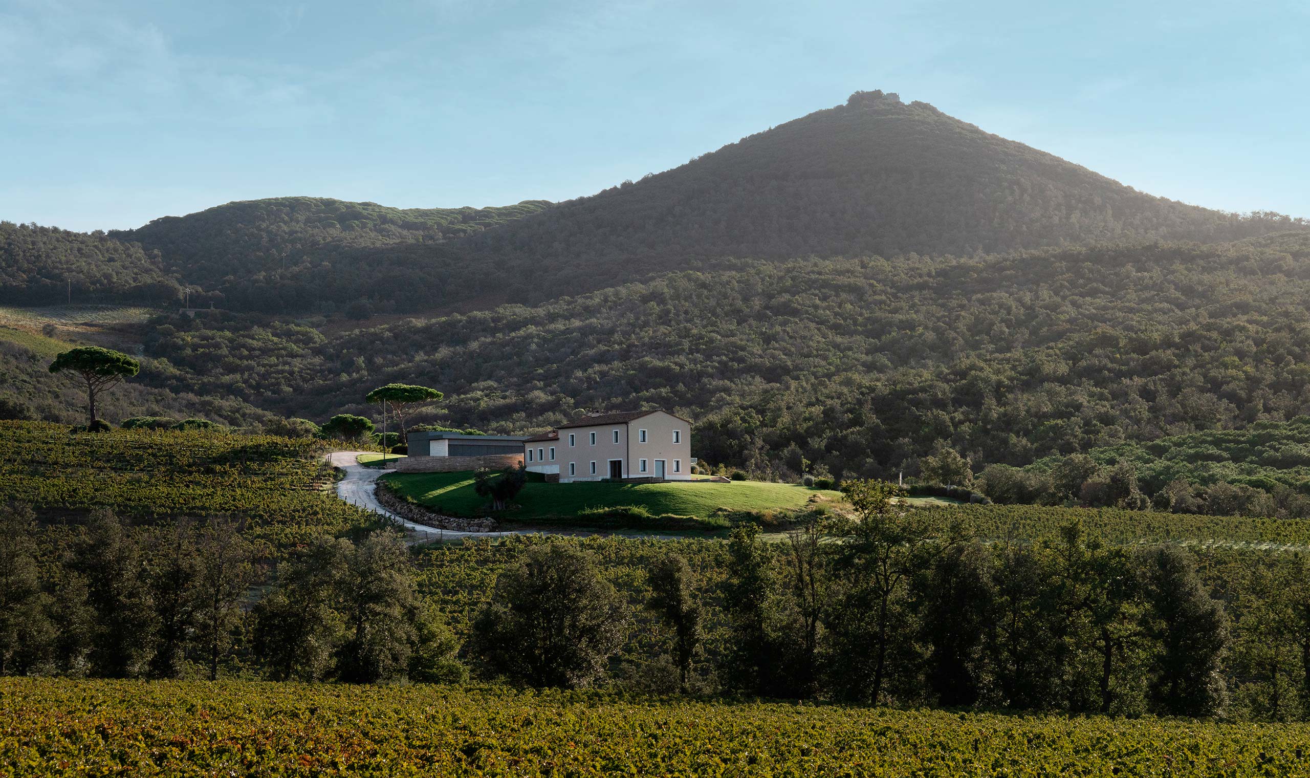 Sienna Charles Experiences Masseto Winery